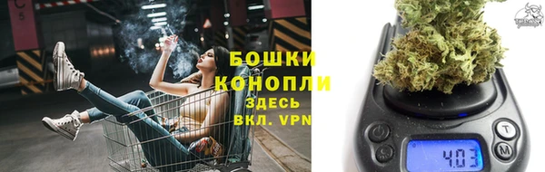 ешки Нея