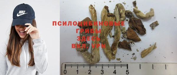 2c-b Нефтекумск