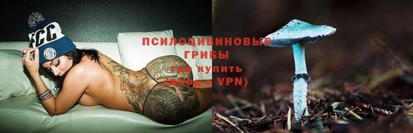 2c-b Нефтекумск