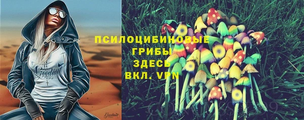шишки Новый Уренгой
