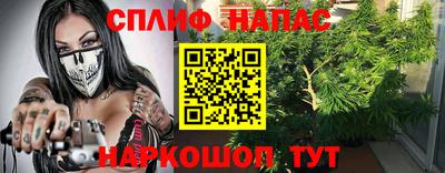 молекула духа Славгород