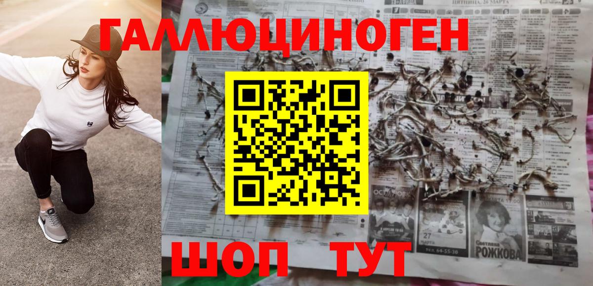 Псилоцибиновые грибы ЛСД  Вход с VPN  Хасавюрт  Псилоцибиновые грибы Psilocybe 