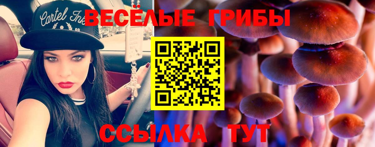 Галлюциногенные грибы Magic Shrooms Хасавюрт